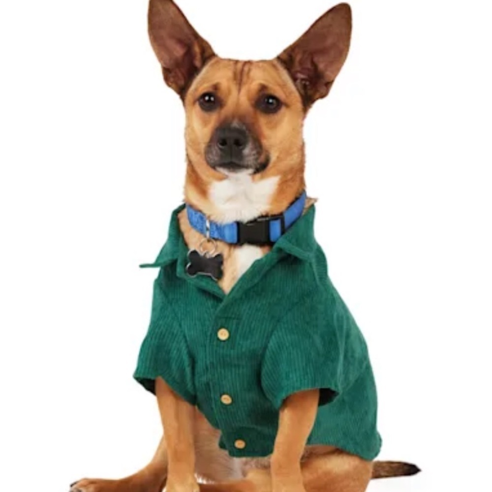 NWT Youly “hipster” corduroy button dog shirt S
